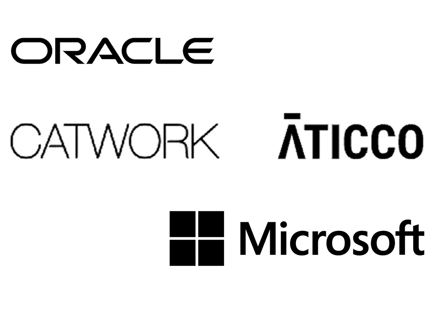 Partners Tecnológicos
